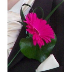 Gerbera Buttonhole